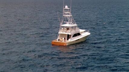 Дикость 4: Оргия | Wild Things: Foursome (2010)