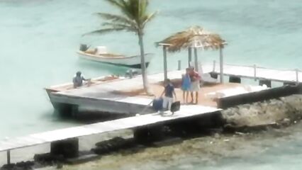 Свадебное путешествие / Private Tropical 09 - Coral Honeymoon (2004) c русским переводом